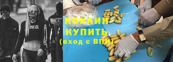 гидра Инсар