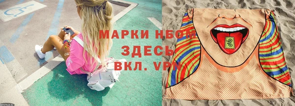 гидра Инсар