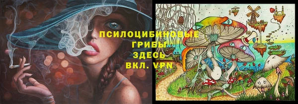 гидра Инсар