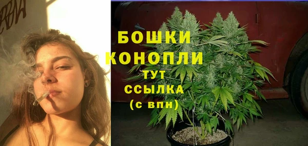 гидра Инсар