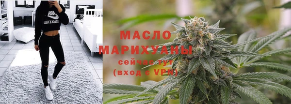 гидра Инсар