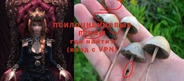 герыч Инта