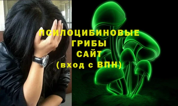 гидра Инсар