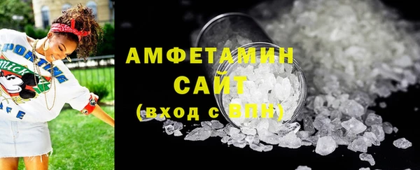 гидра Инсар